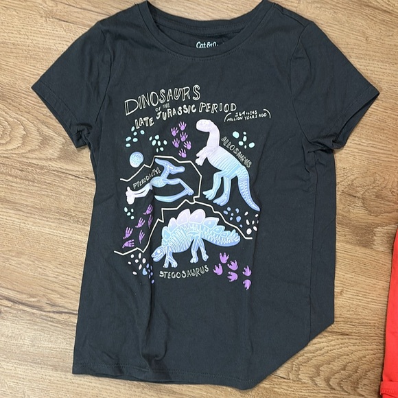 Cat & Jack size small girls short sleeved tees - Dino and popsicle never worn. - Picture 3 of 4